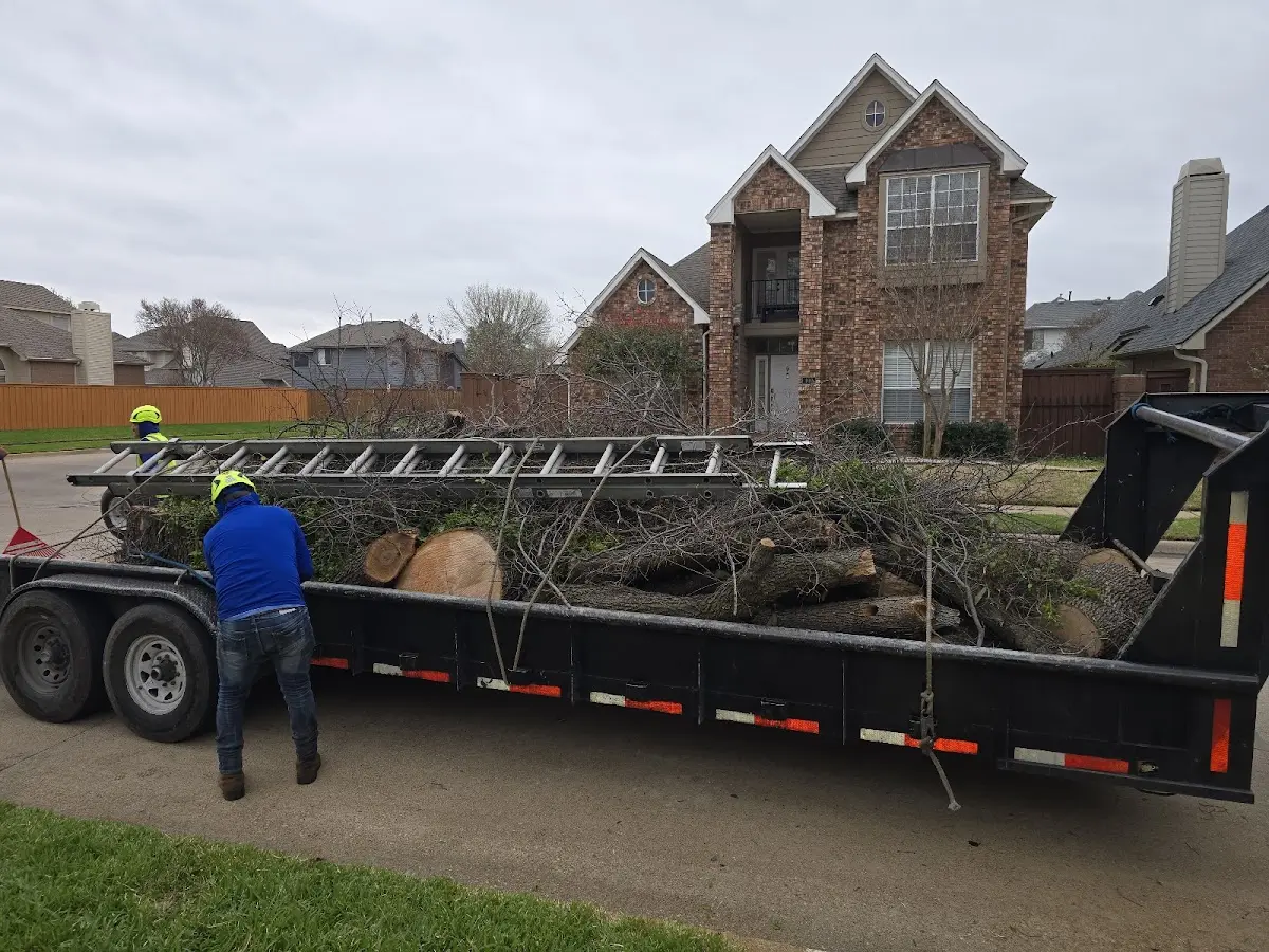 Expert Tree Removal with proper safety equipment in Northville